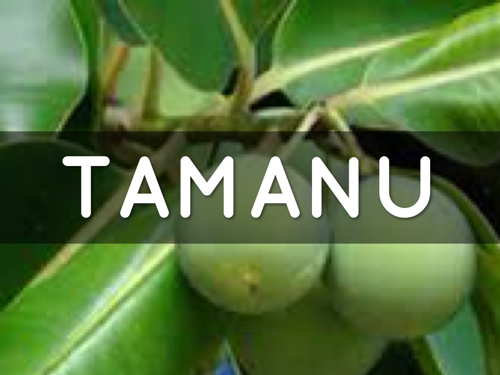 Aveda Men's pur-formance