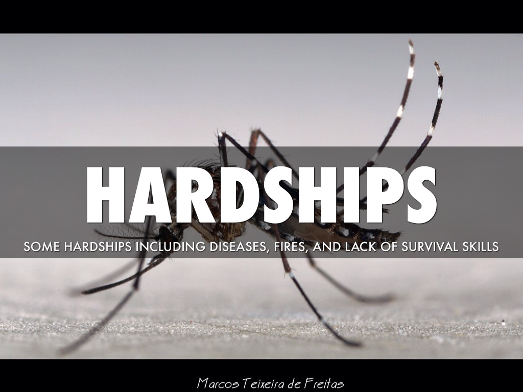 Copy of Colonial Economics