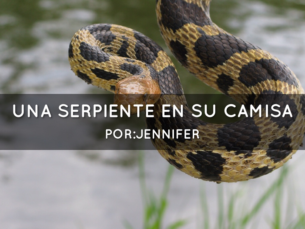 Una Serpiente En Su Camisa