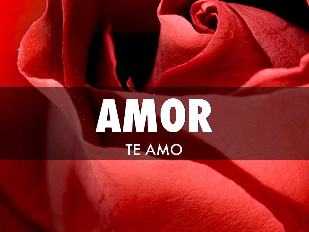 Amor