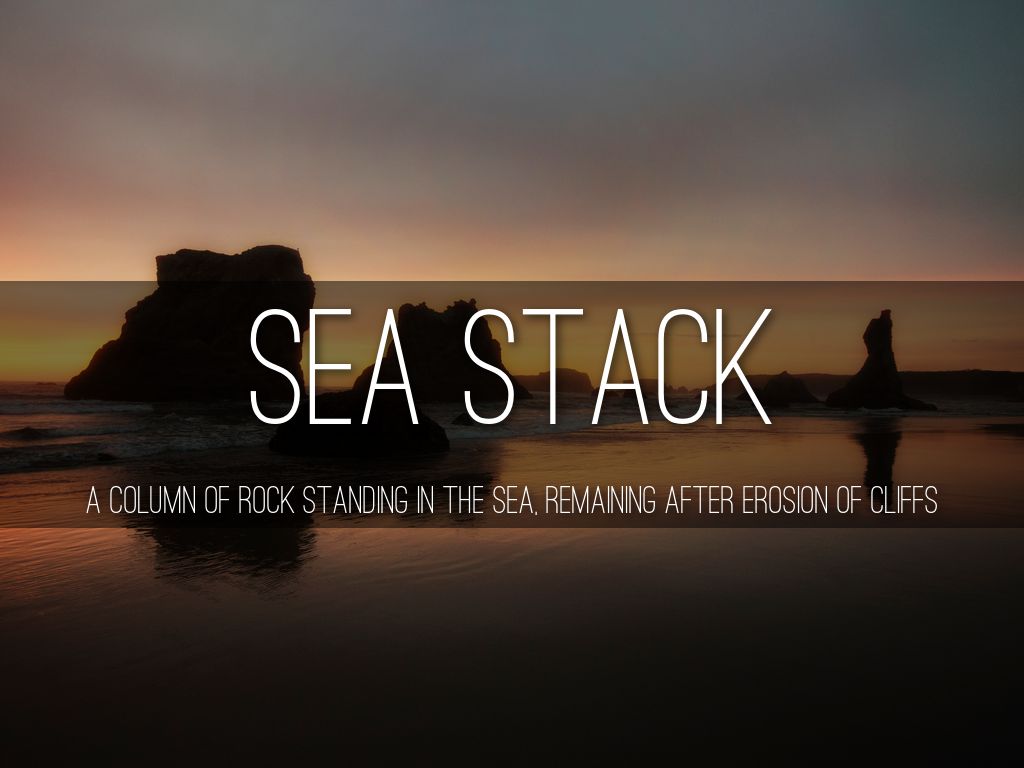 Shore Line Picture Dictionary by ashroo5666