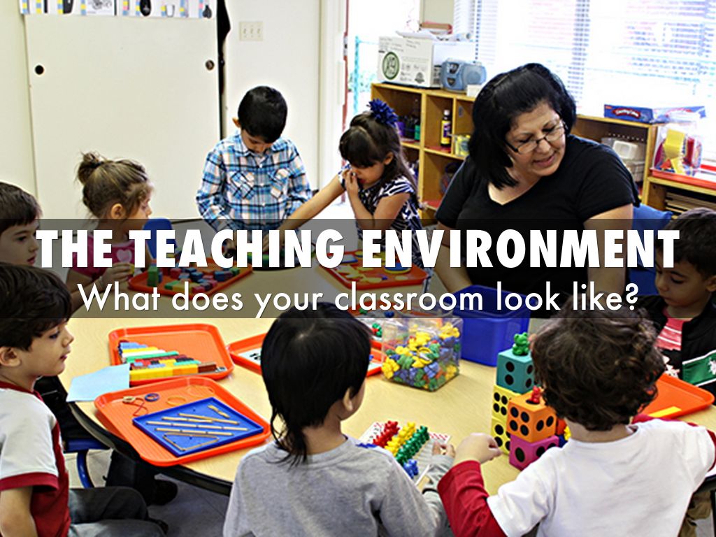The Teaching Environment