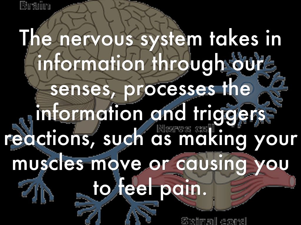 Nervous System by elaney0815