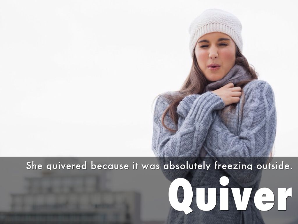 Quiver