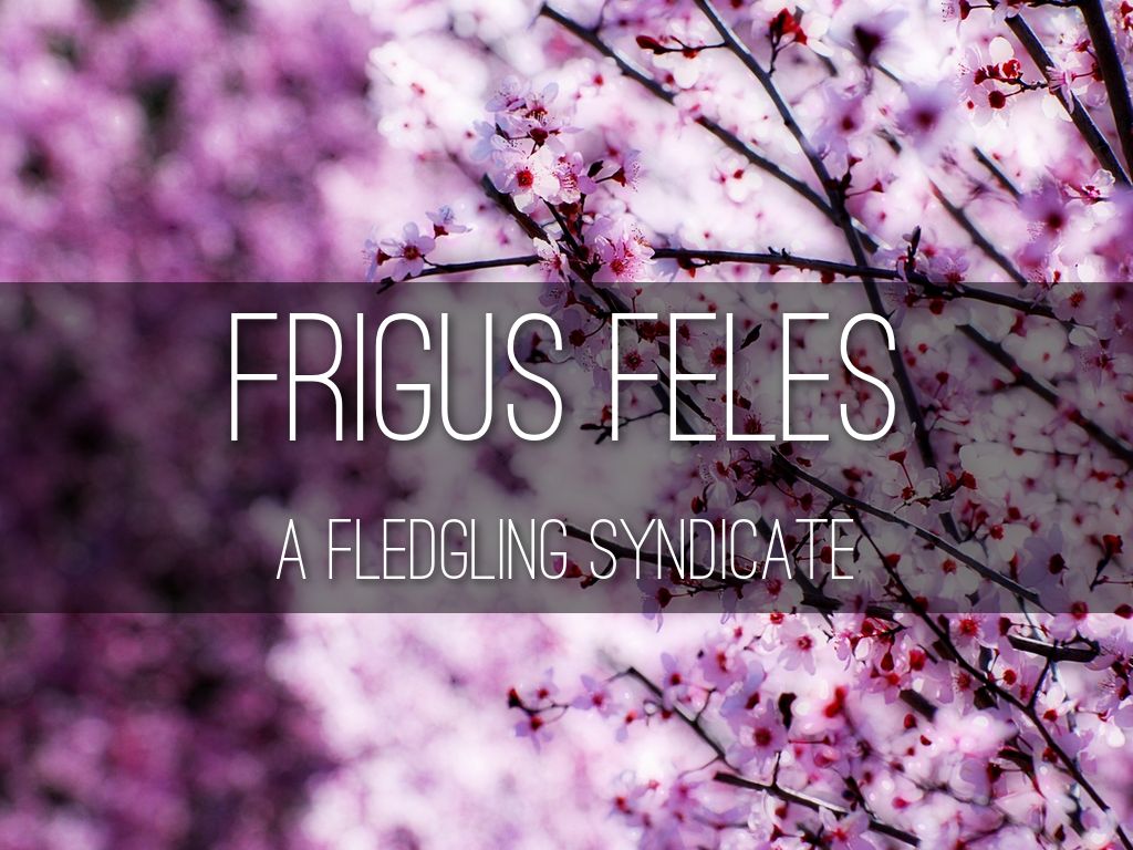 Frigus Feles