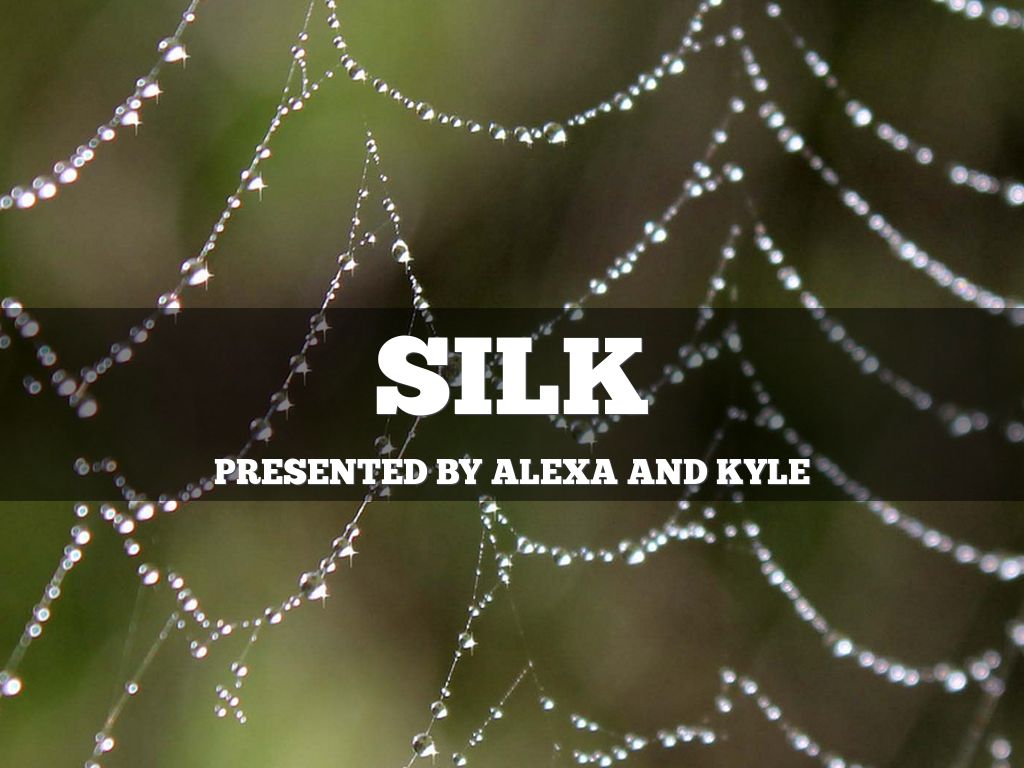 Silk