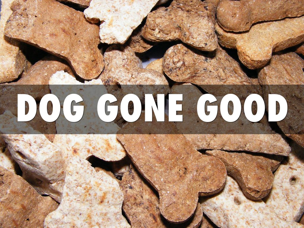 Dog Gone Good