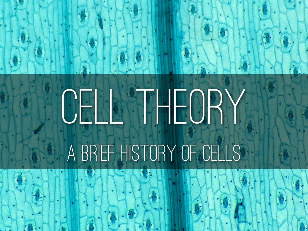 Cell Theory