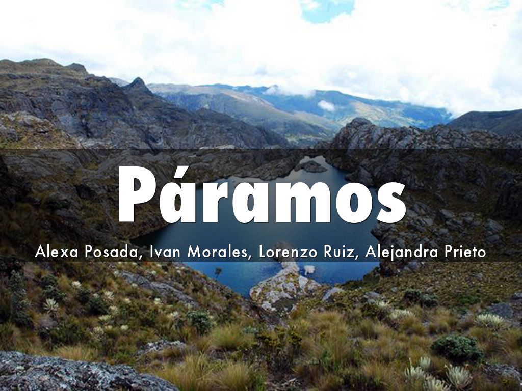 Páramos