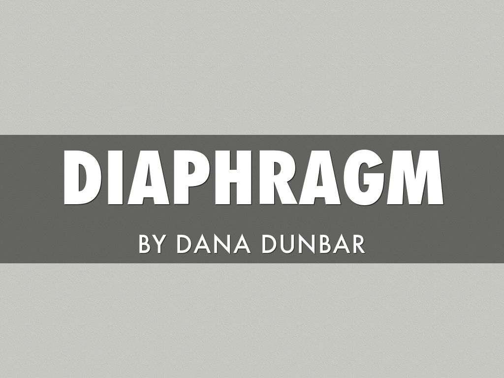 Diaphragm 