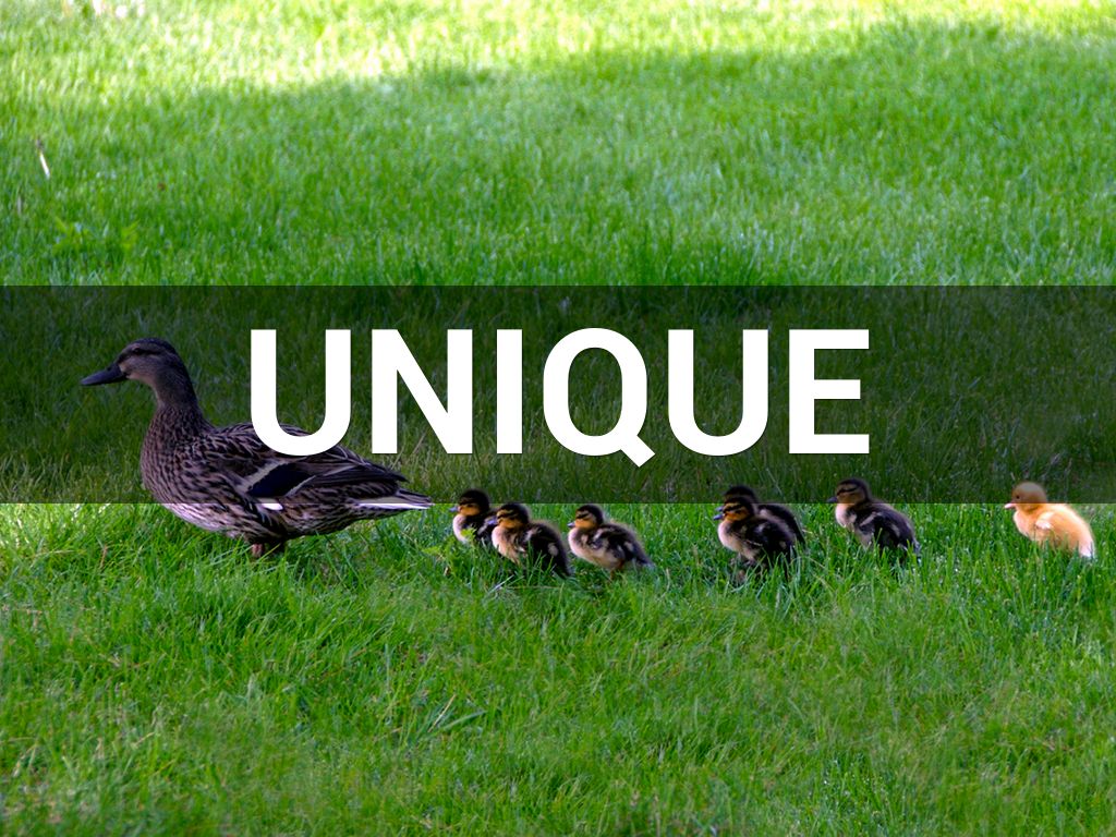 unique