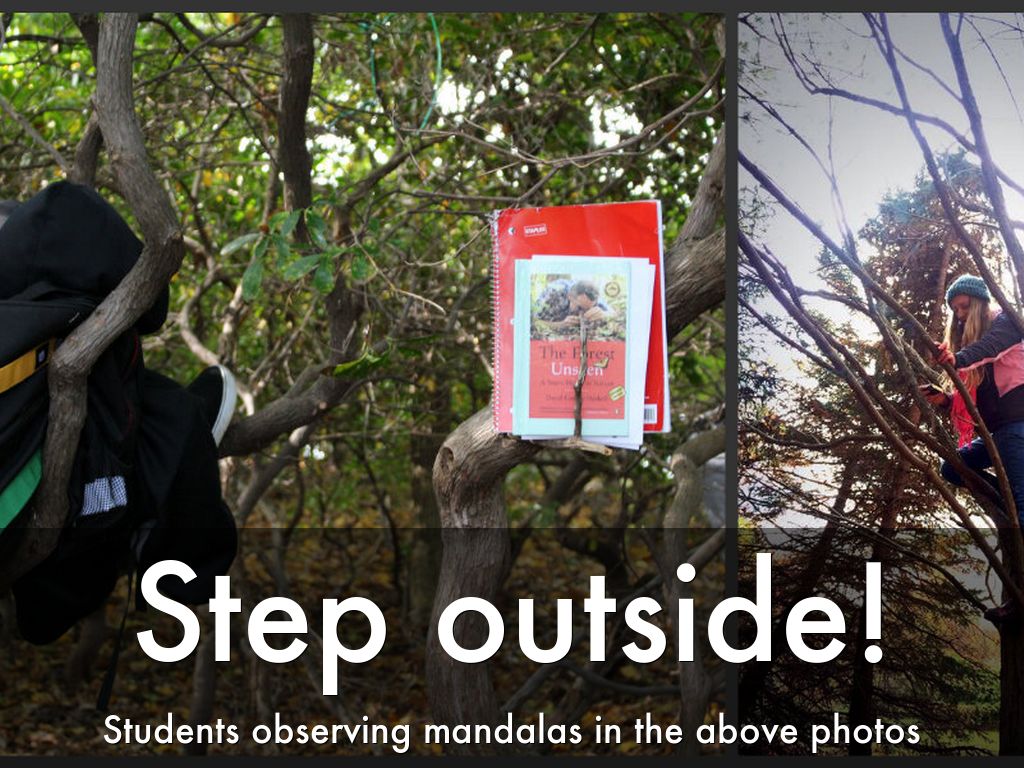 Copy of Nature Walk: The Intersection of Science and