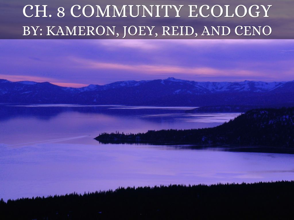 Ch. 8 Community Ecology