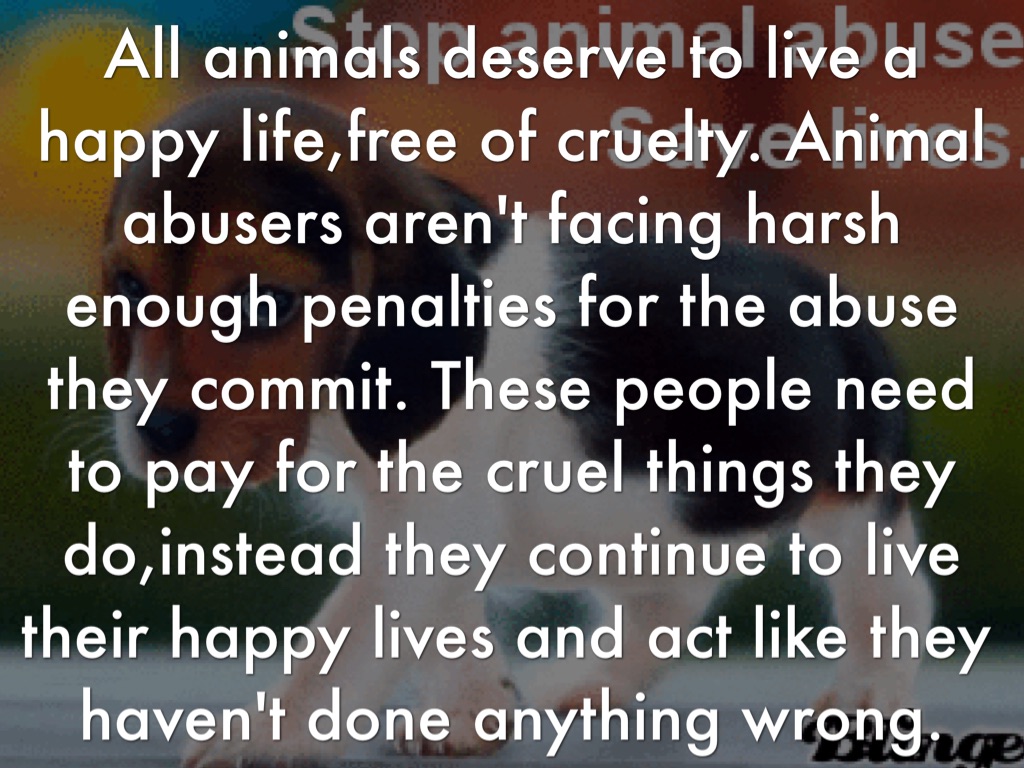 Animal Abuse by Cristal Hernandez