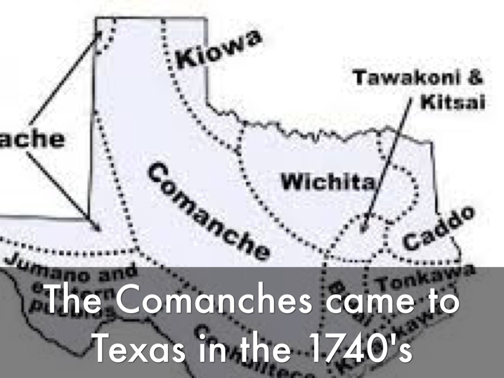 Comanche by Carter Lucas