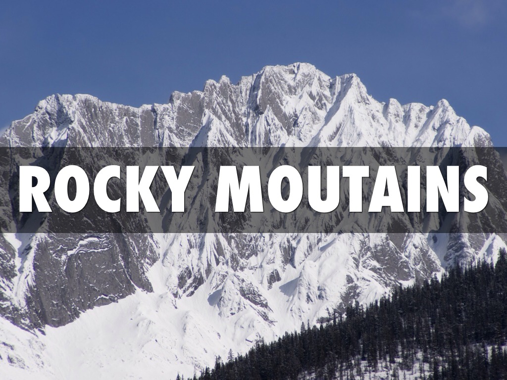 Chapter 12 Section 1 