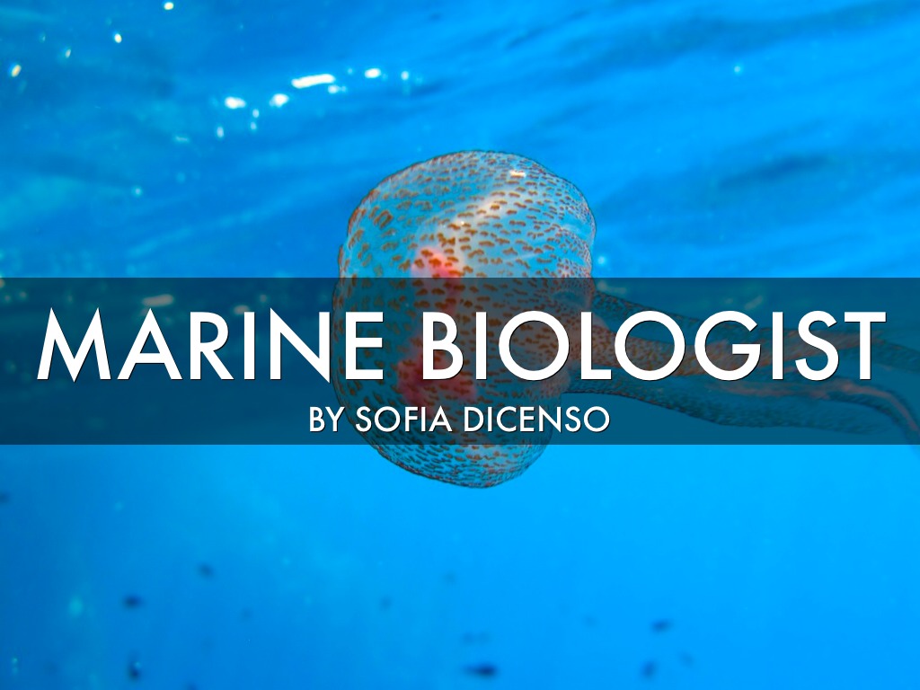 Marine Biologist