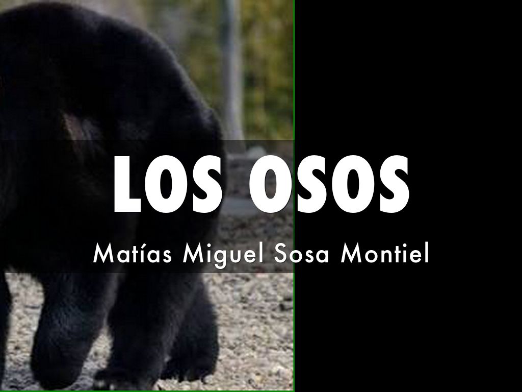 OSOS Matías 2do Monet