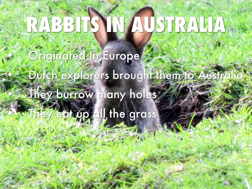 Invasive Species by Jacob