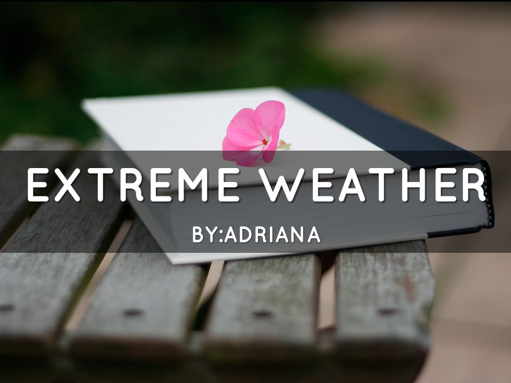 Haiku Deck In Action