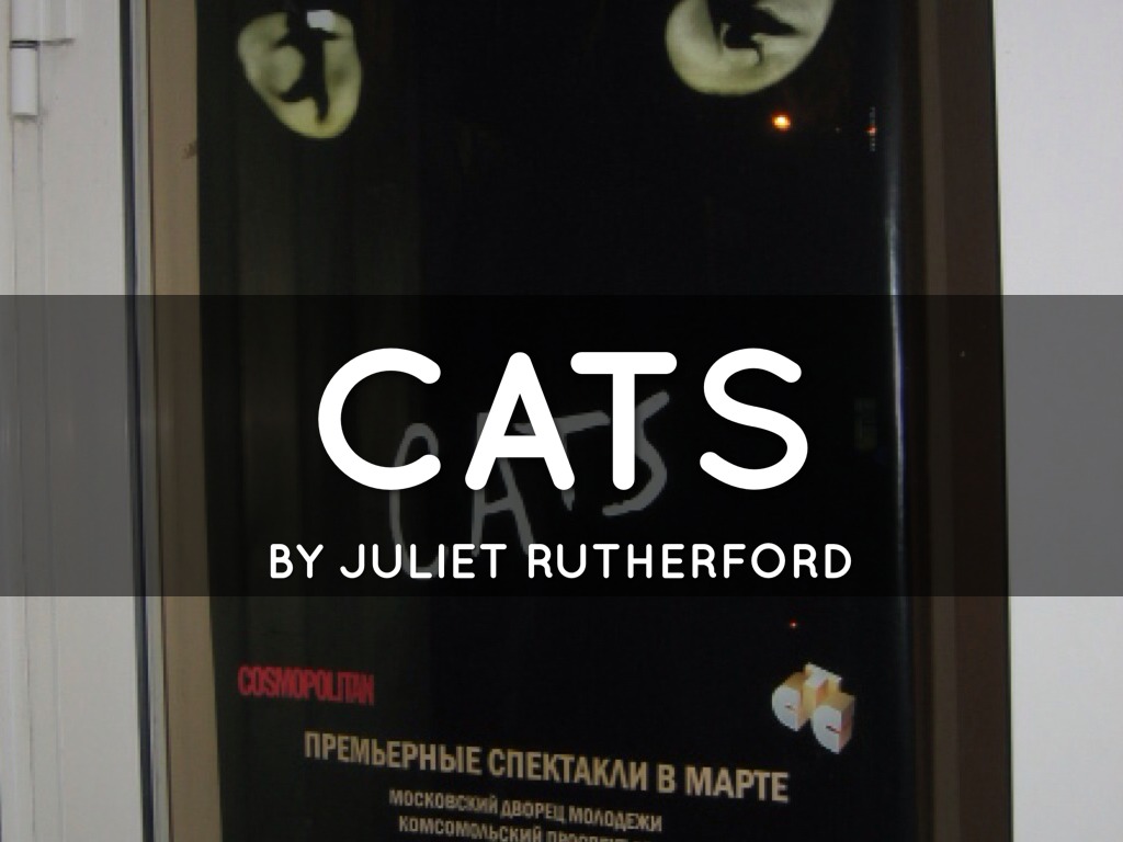 Cats Musical