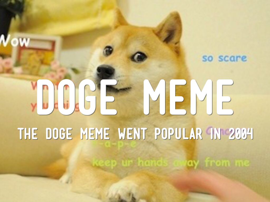 Shiba Inu by Ty Bell, image size:1024x768