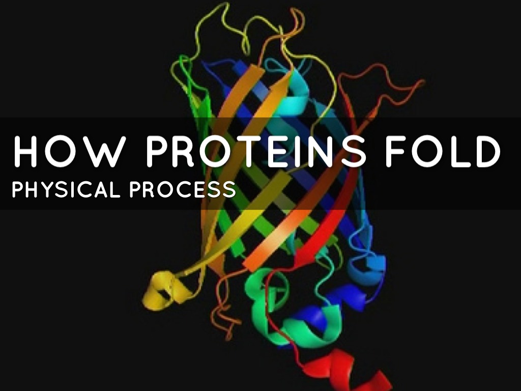 Folding Proteins by Ariana Clark