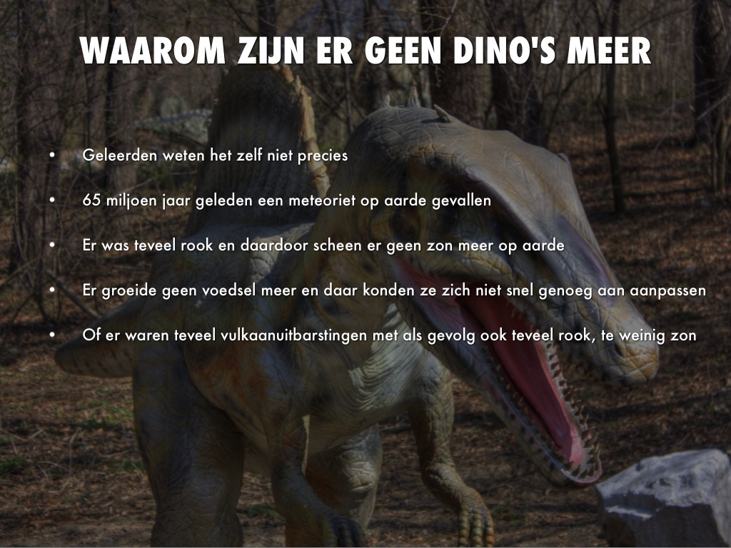 Dinosaurussen by Lin B