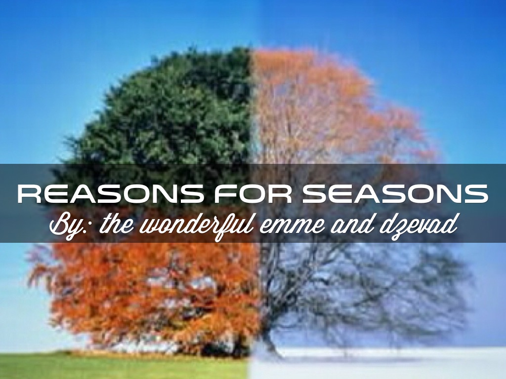 Reasons For Seasons