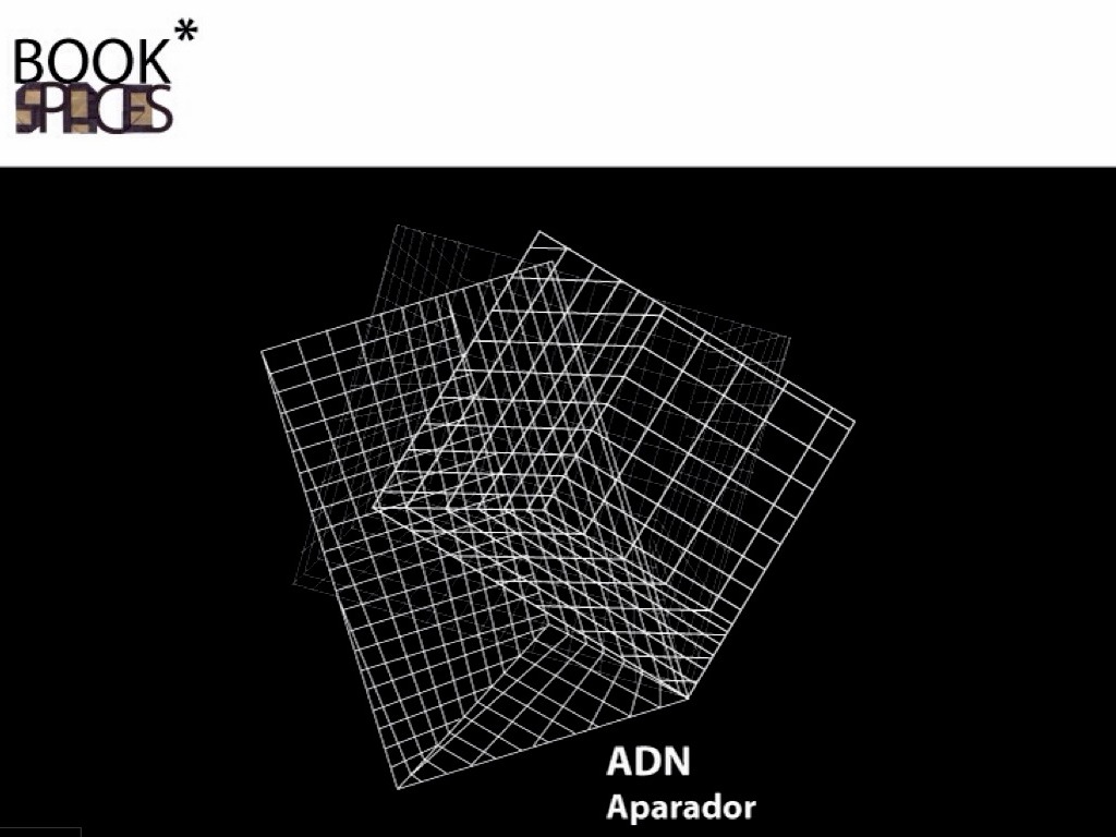 ADN Window Display Design