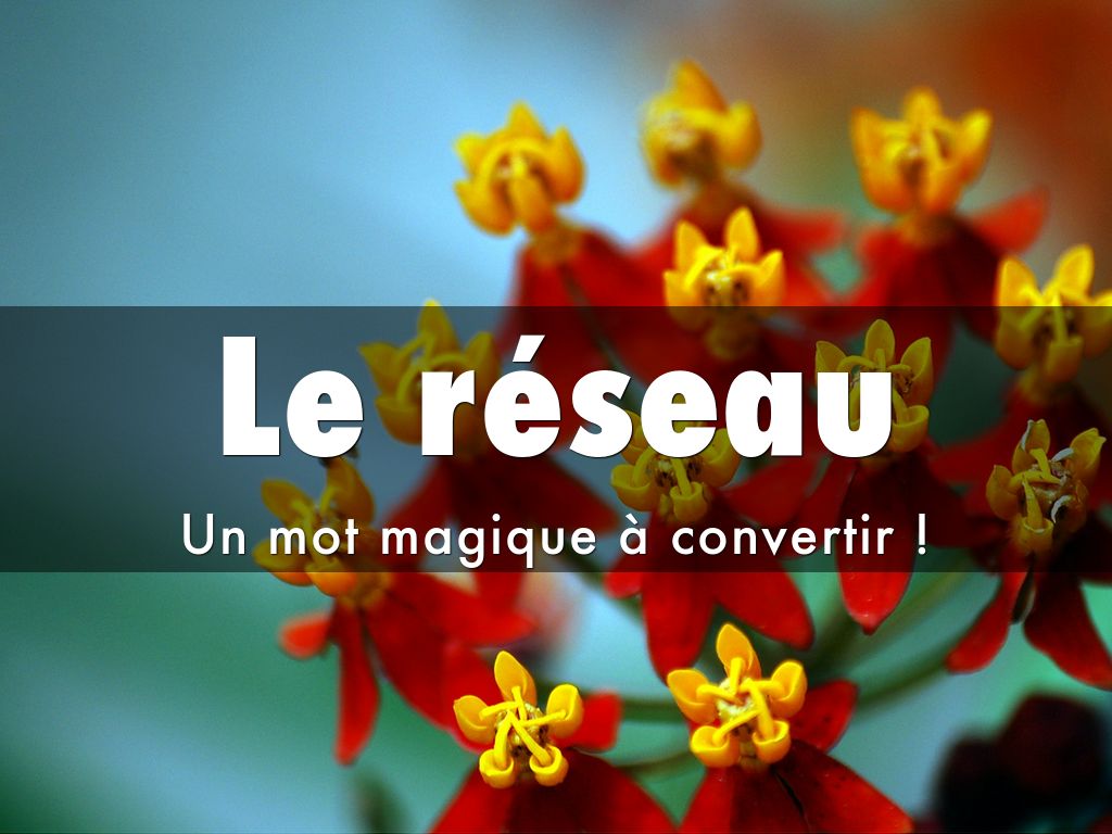 Le réseau : un mot magique à convertir