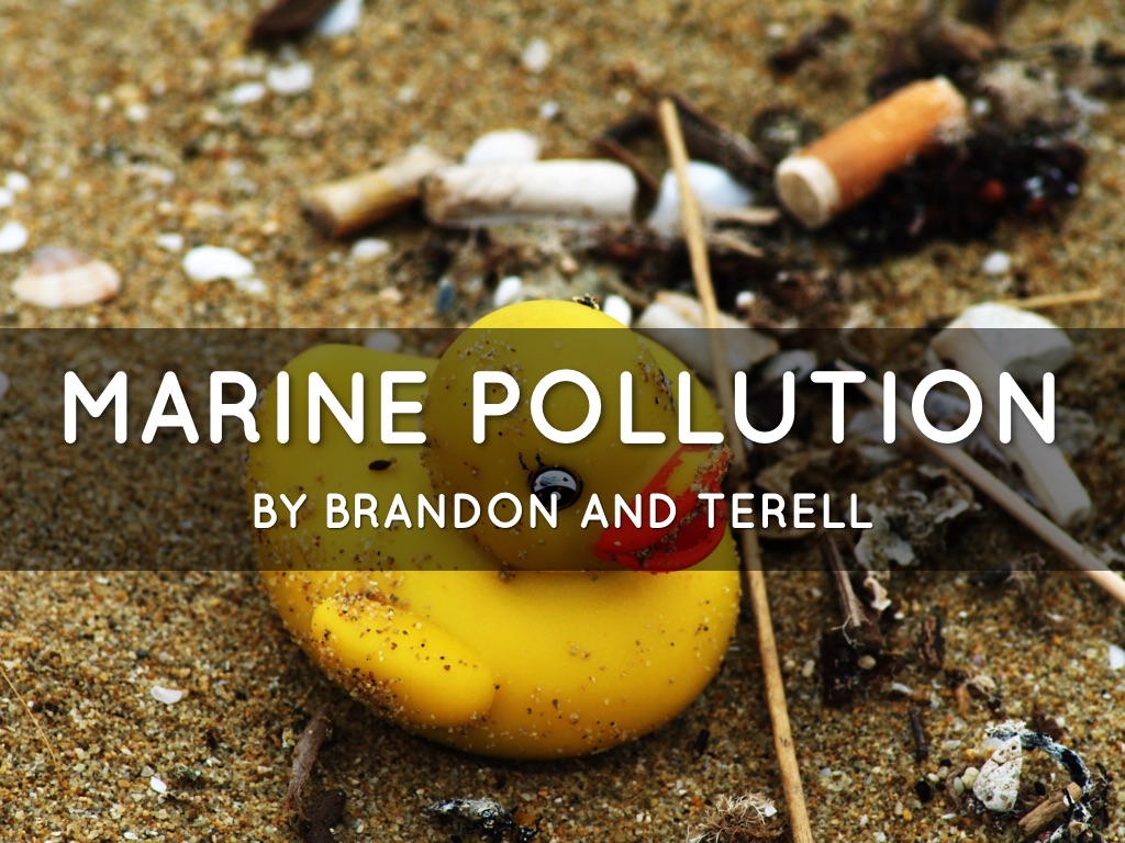 Marine Pollution 
