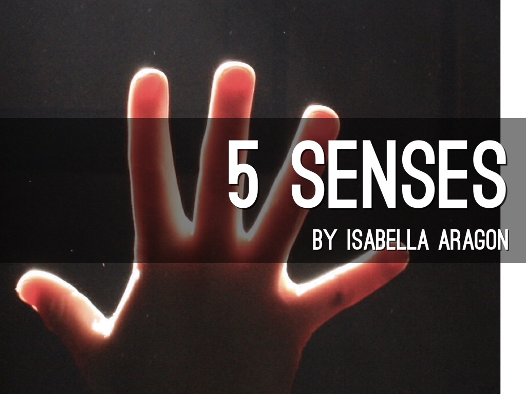 5 Senses/ Isabella Aragon 