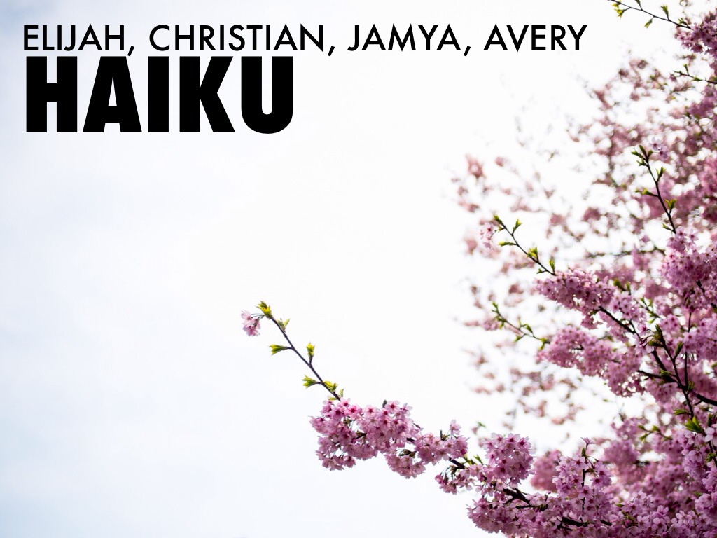 Haiku
