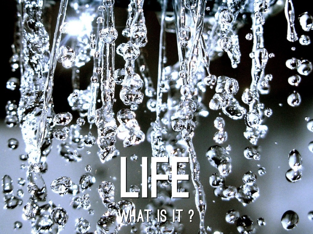 Life