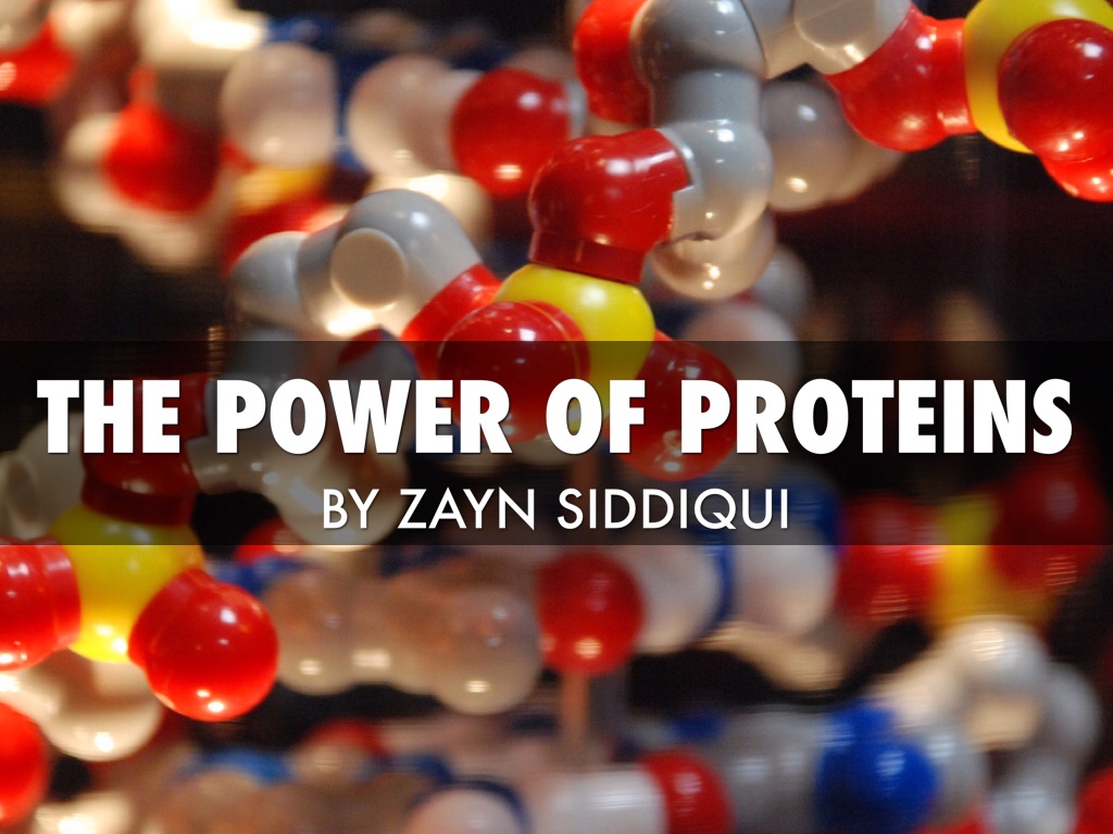 From DNA to Proteins
