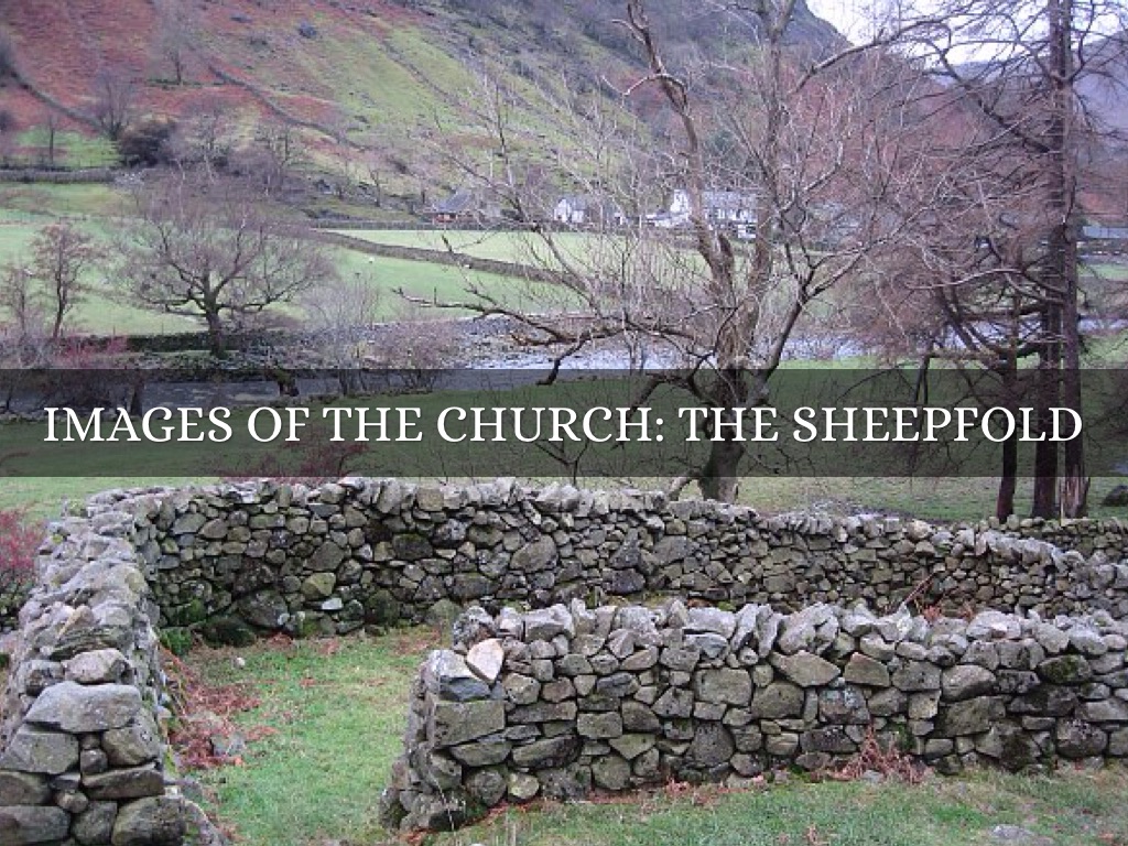 Images of the Church: The Sheepfold