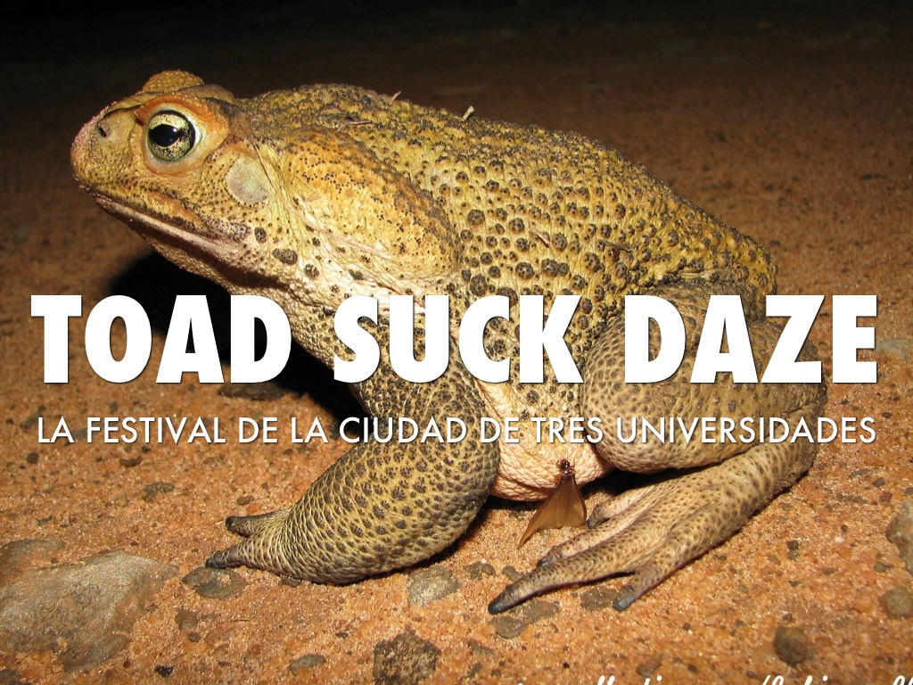 Toad Suck Daze