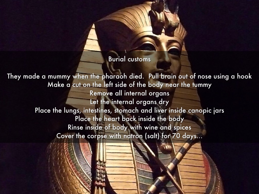 egyptian hook up nose