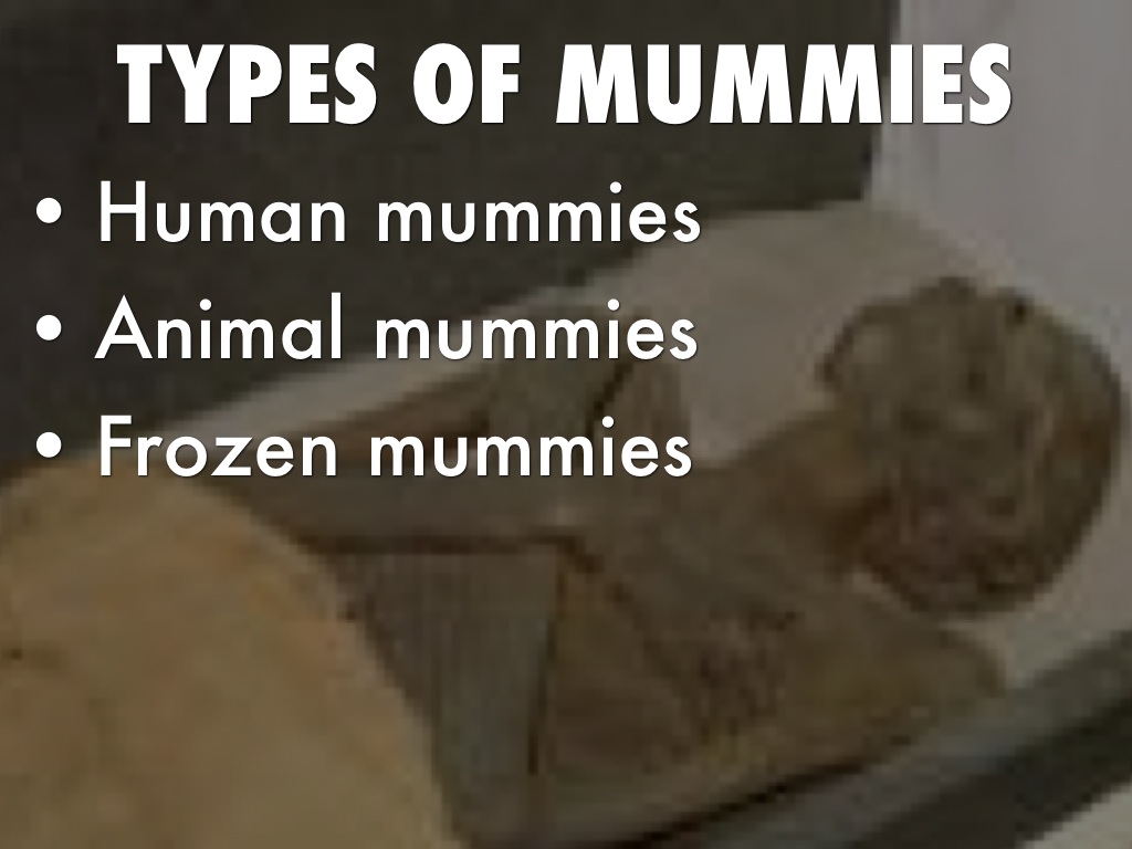 Egypt Mummies by Leslie Martinez Rios