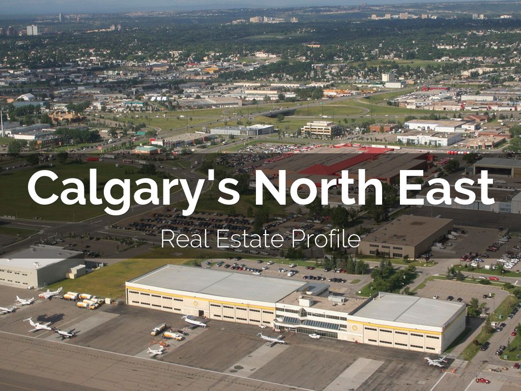 Calgary's North East Real Estate Profile by Tim Olynik