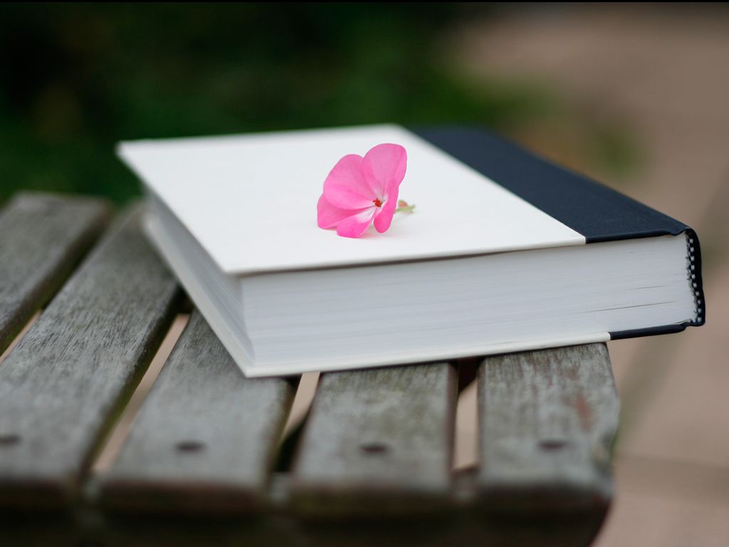 Haiku Deck 在行动