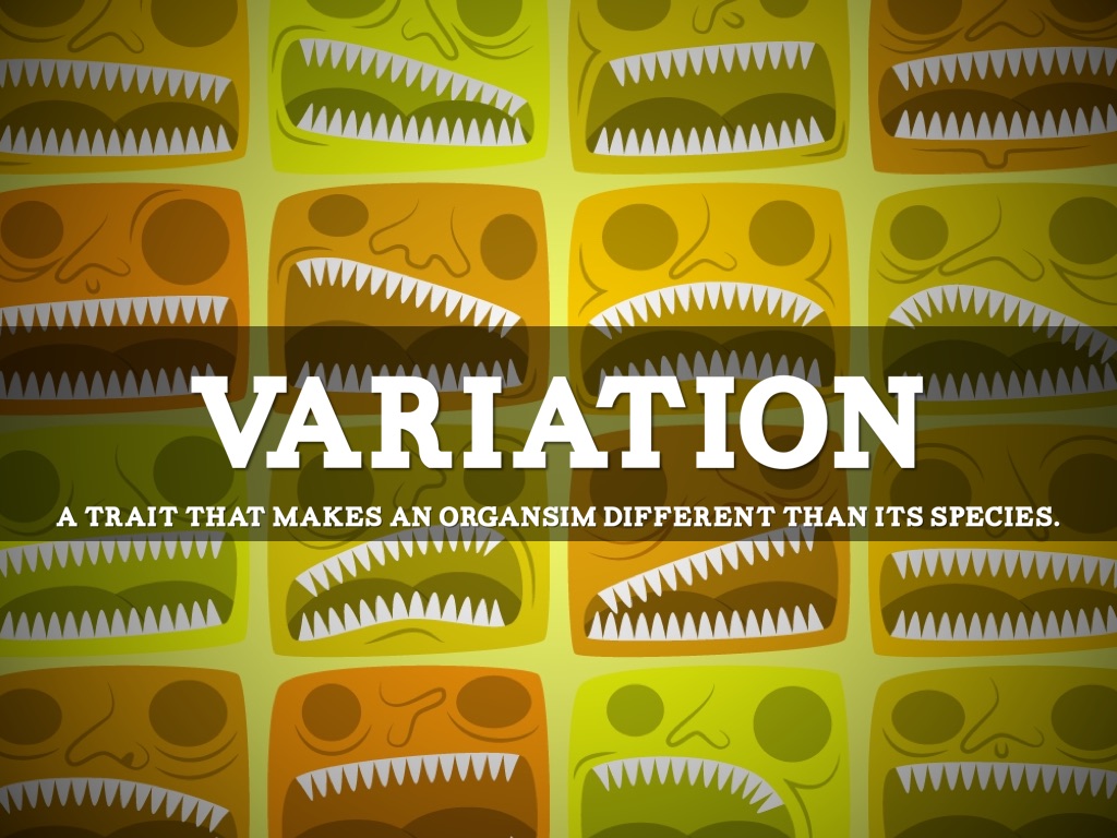 Adaptations And Variations