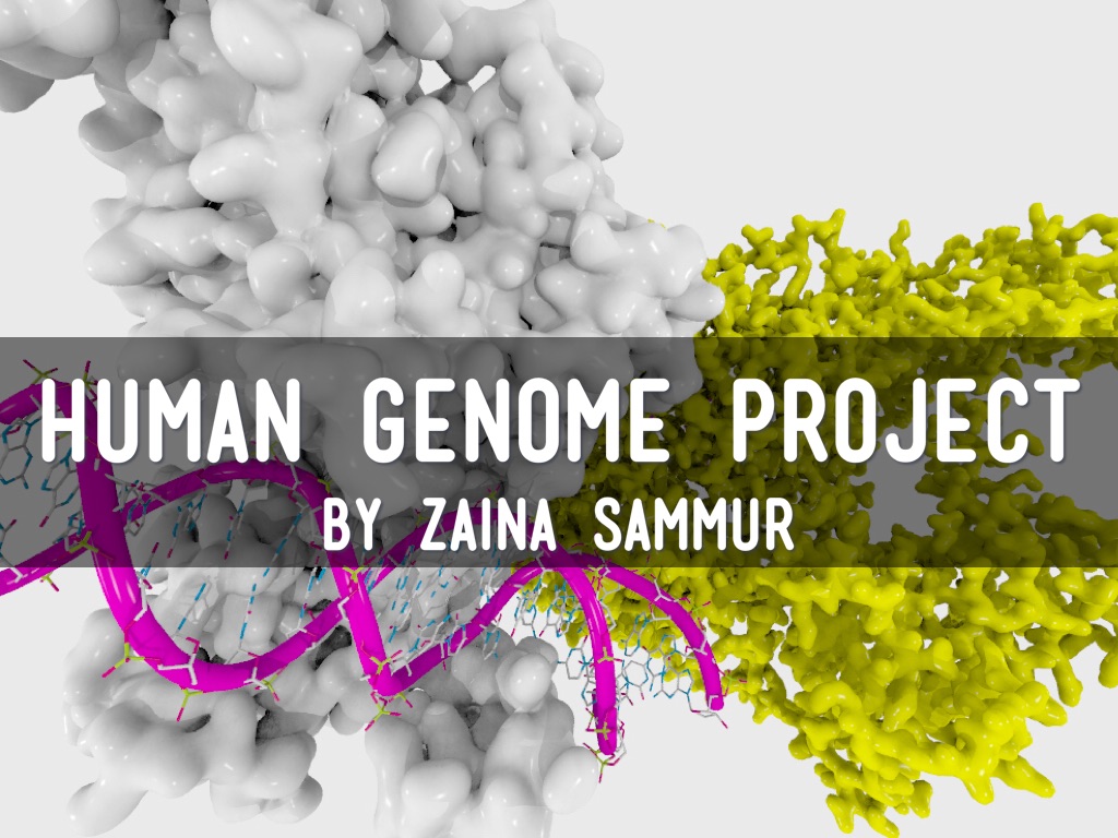 Copy of The Human Genome Project