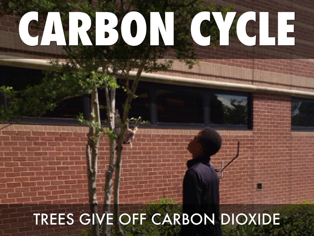 Ecological Terms by Christian Green