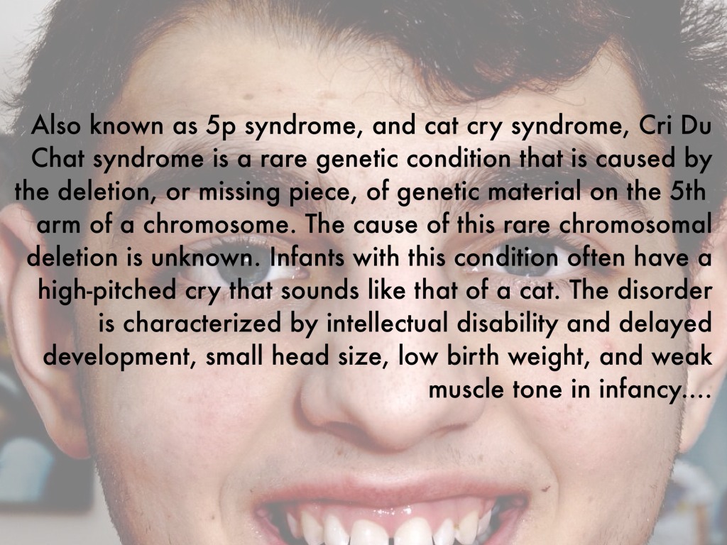 Cri Du Chat by Alexis Ifill