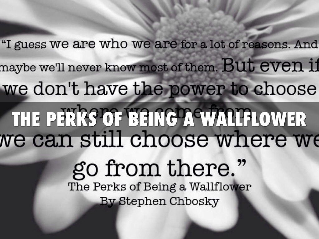 The Perks Of Being A Wallflower