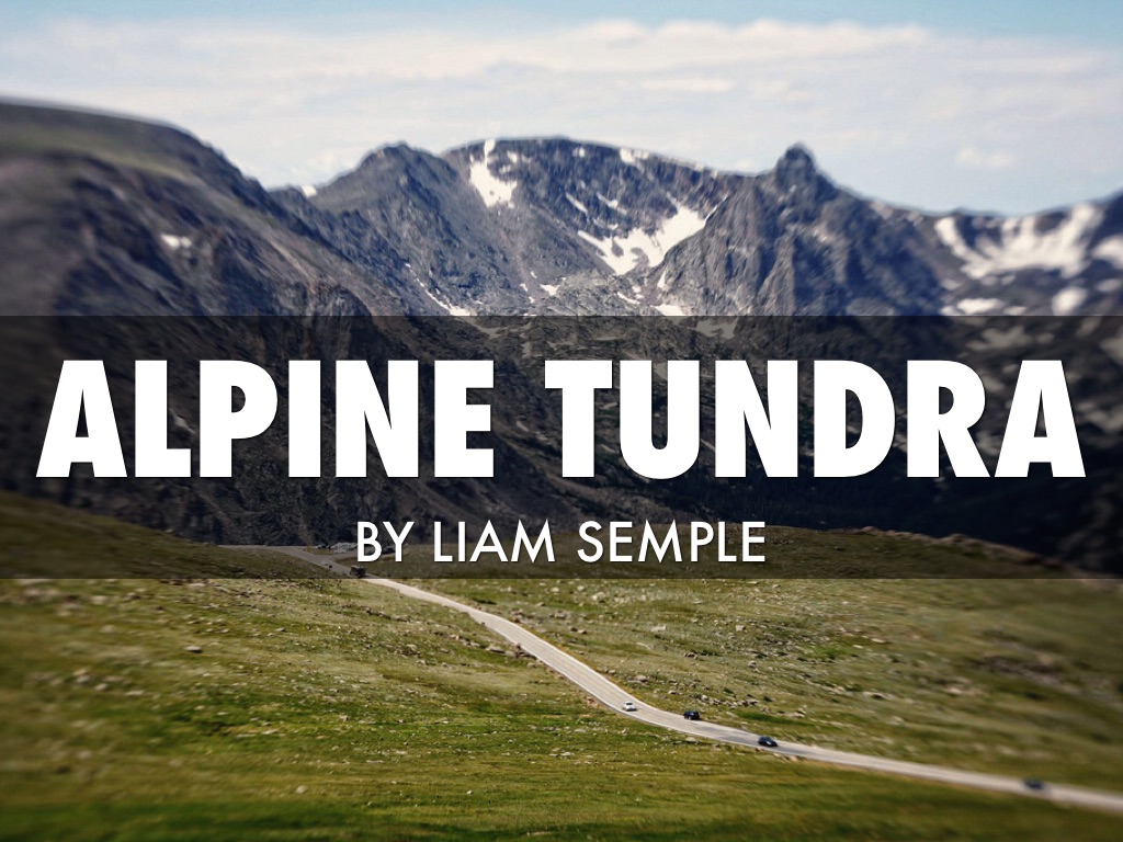 Alpine tundra
