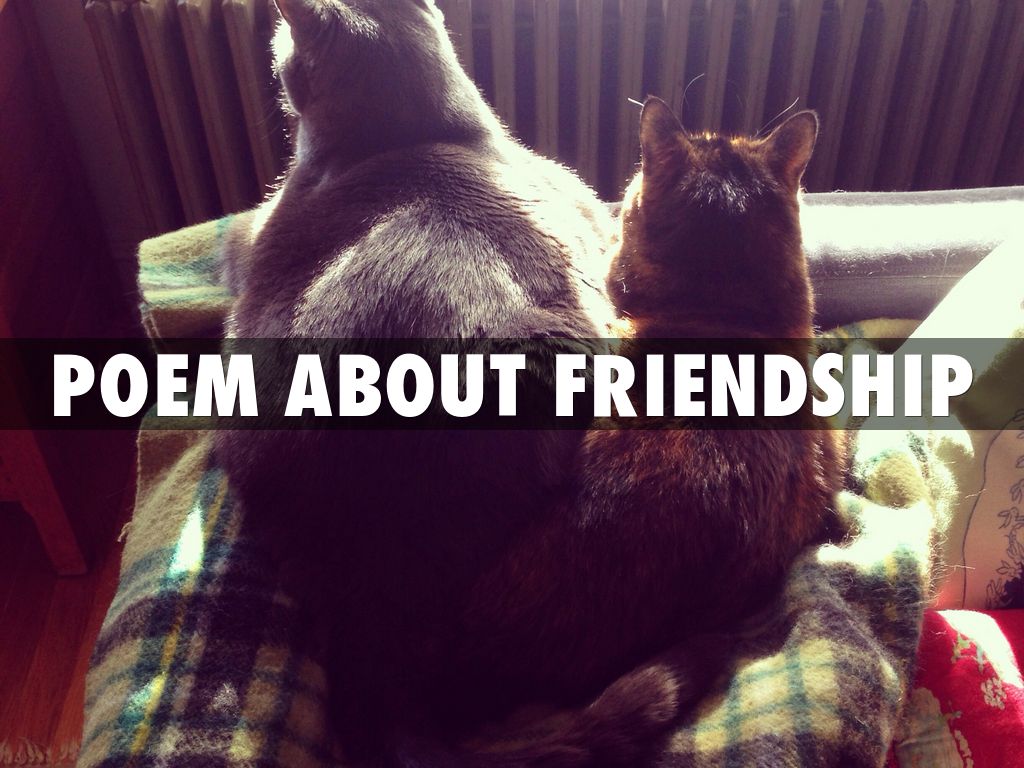 POEM about friendship