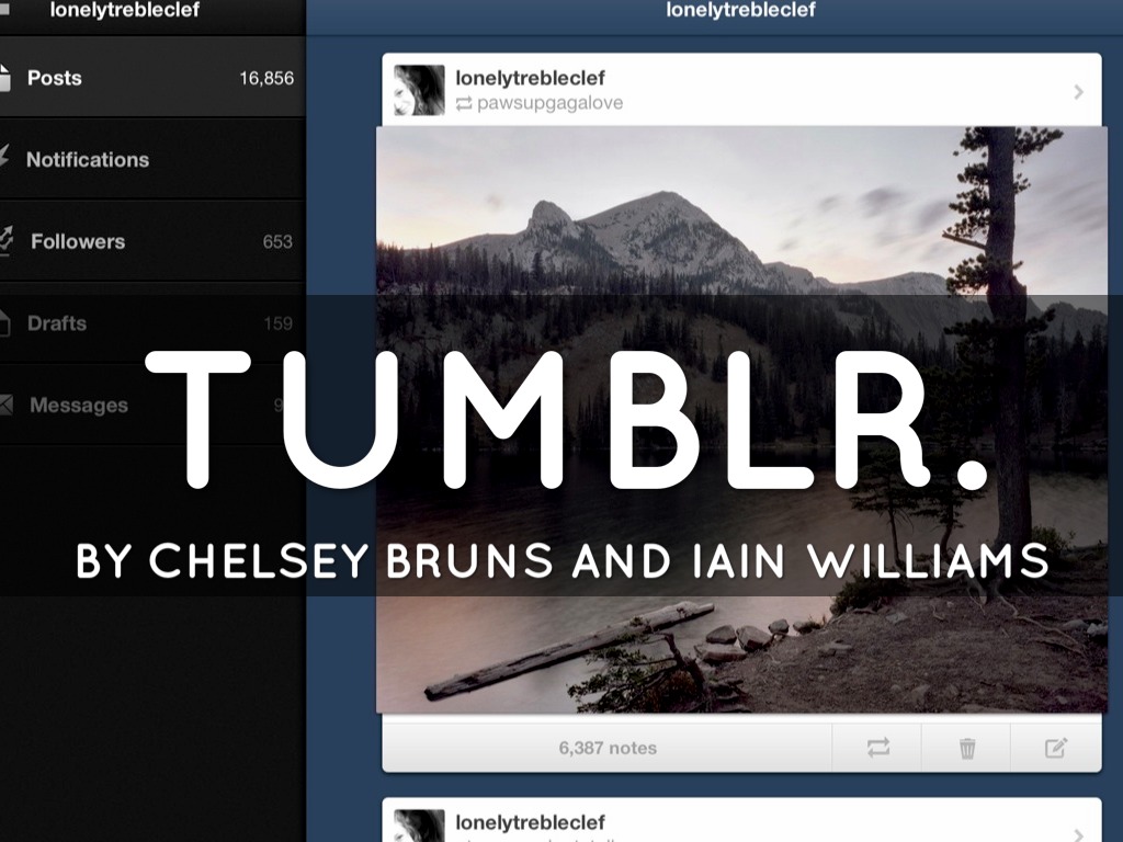 Tumblr: A Social Media Speech